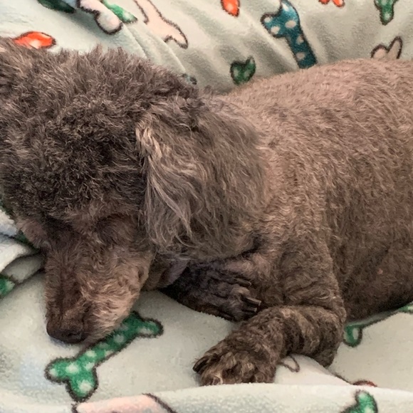 @tt1342 Giveaway Snack, Starbucks or Stickers? - Picture 5 of 15